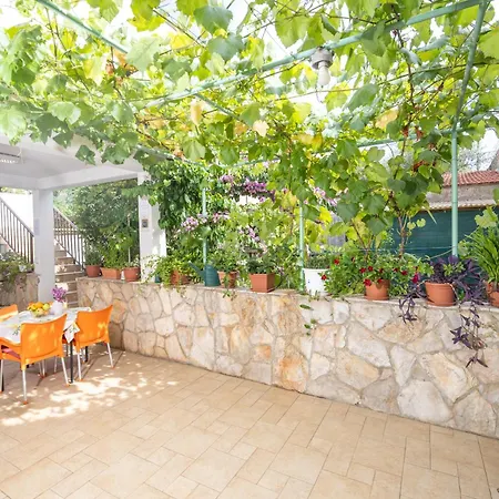 Damjanic Jerko 韦伯斯卡