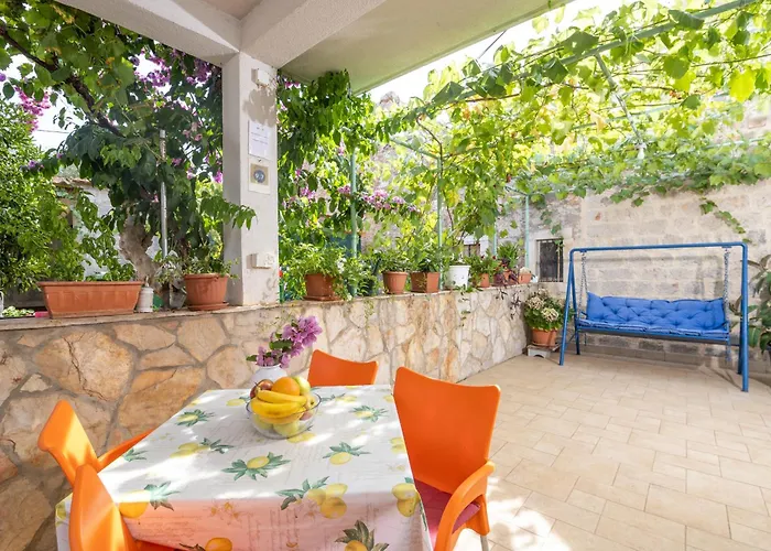 Damjanic Jerko * 韦伯斯卡